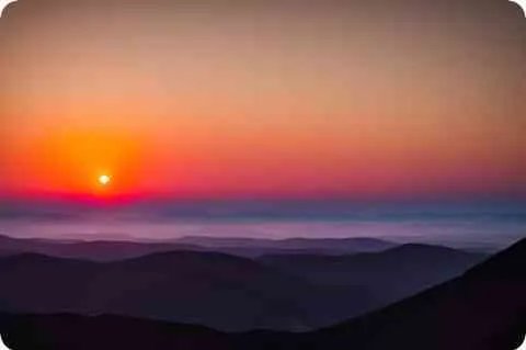 学警雄心的演员表