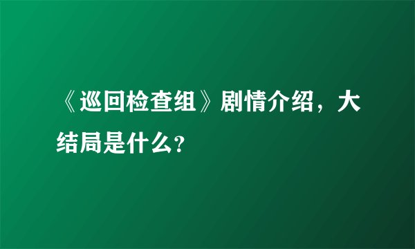 《巡回检查组》剧情介绍，大结局是什么？