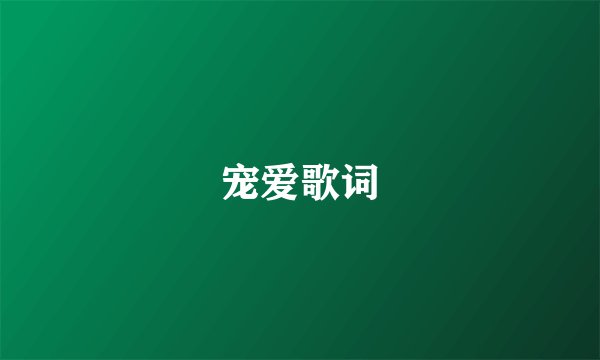 宠爱歌词