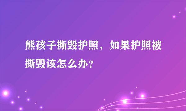 熊孩子撕毁护照，如果护照被撕毁该怎么办？