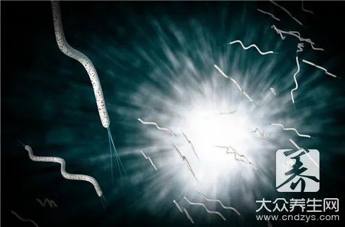 mrsa是什么细菌?