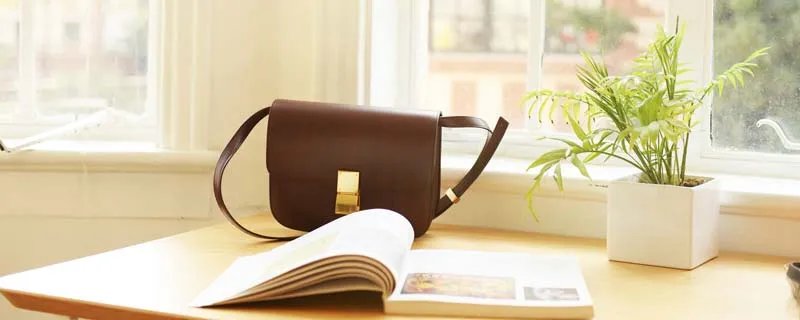 近水楼台先得月什么意思