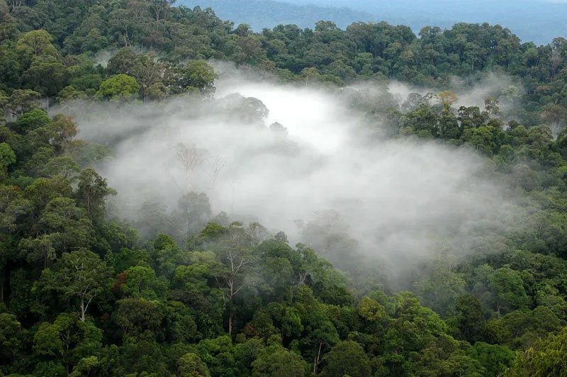 文莱是哪个国家？文莱国王苏丹生活有多奢靡？