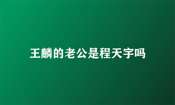 王麟的老公是程天宇吗