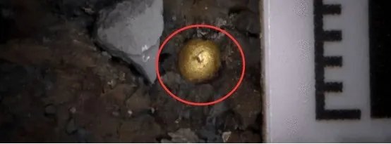 三星堆发现24k纯金小金珠,这些金珠在当时是如何做成的?