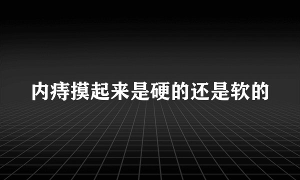 内痔摸起来是硬的还是软的