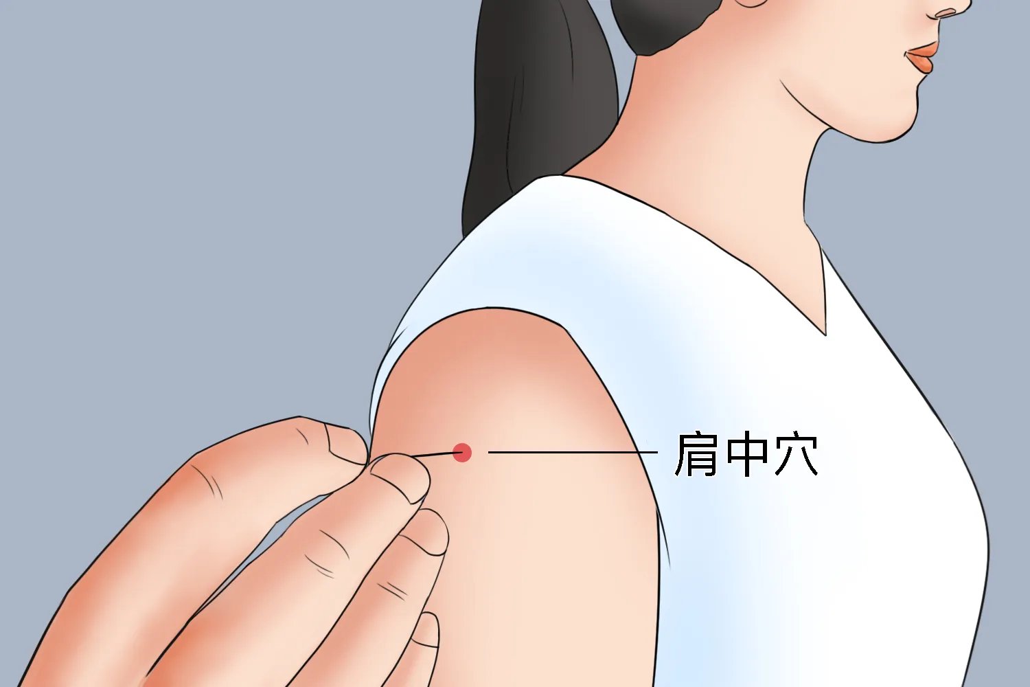 肩中董氏针灸位置