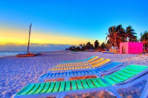 替嫁桑美人(扶桑齐玉婉)最新章节全文阅读·