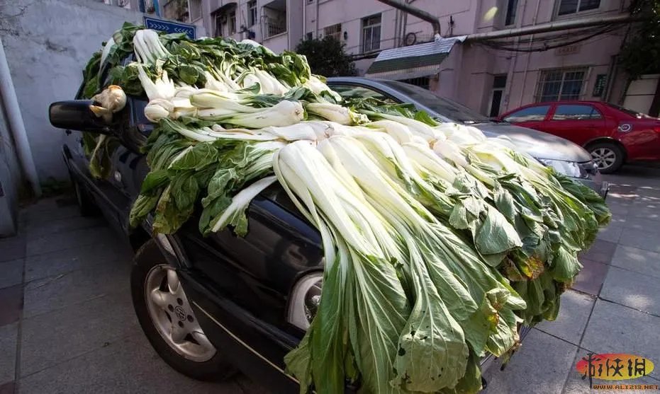 晒没?盘点“中国式晾晒”比“过马路”更壮观