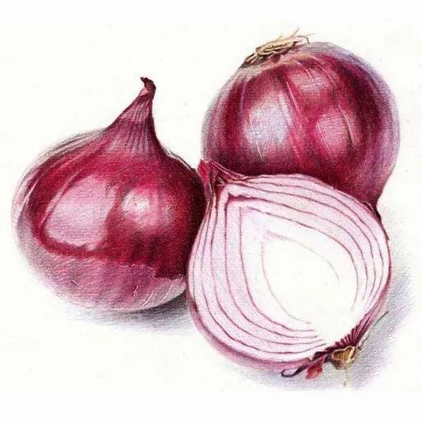 女子买一吨洋葱送前男友，声称：我哭够了，该你了，怎么回事？