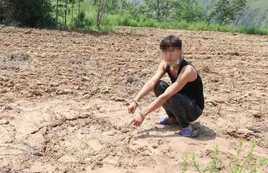 合谋盗古墓挖一米就放弃 事件背后的真相让人哭笑不得