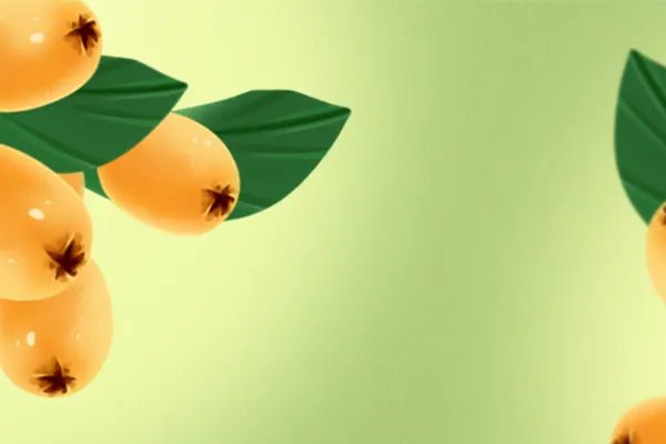 枇杷膏有什么功效