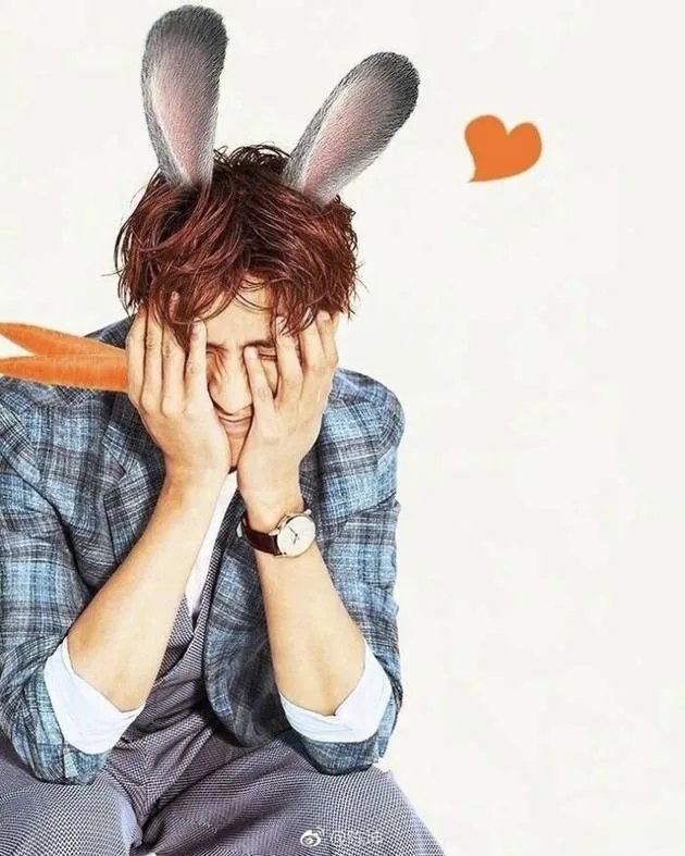 陈坤回复盛世美颜了吗？