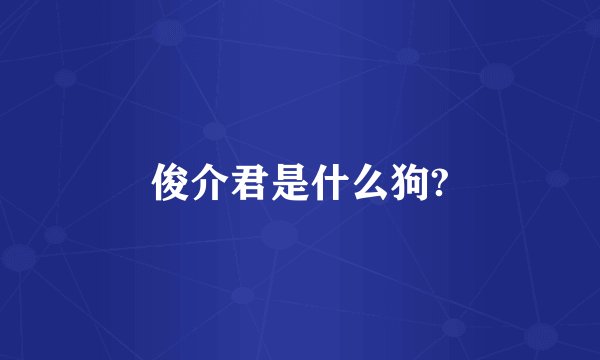 俊介君是什么狗?