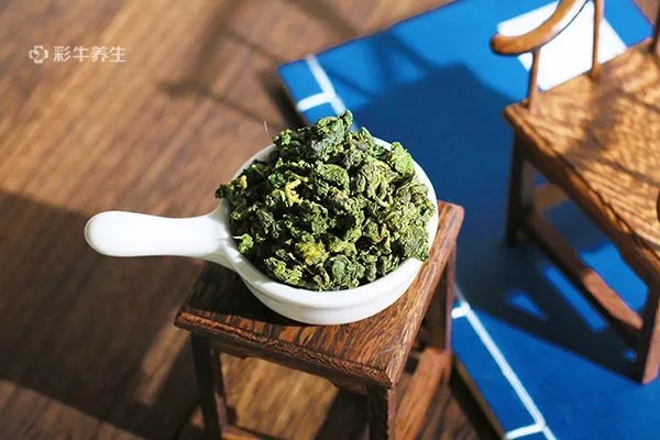 霜桑叶的功效与作用