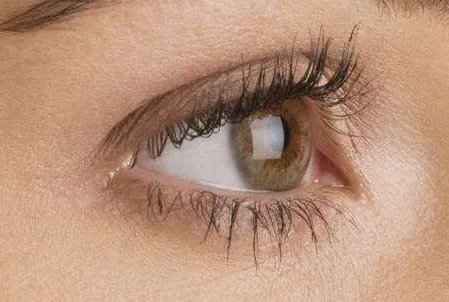 睫毛种植有什么效果