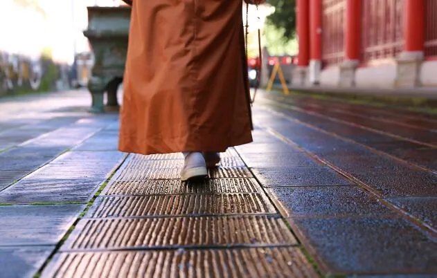 有俗话说猫有九条命是真的吗