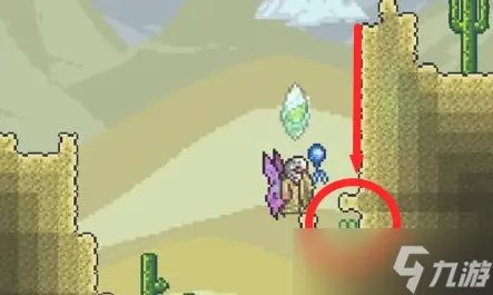 泰拉瑞亚粉蝶花怎么获得 粉蝶花获取攻略