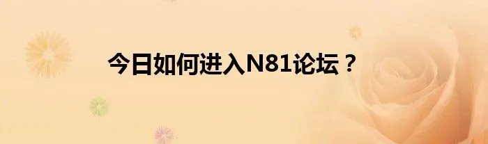 今日如何进入N81论坛？