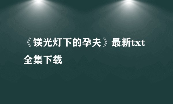 《镁光灯下的孕夫》最新txt全集下载