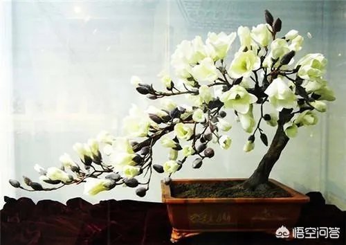 北京有什么特产？