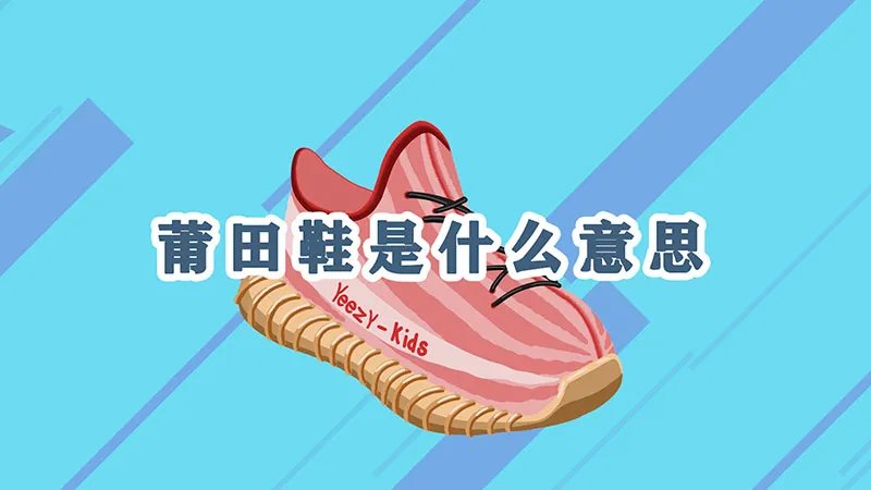 莆田鞋是什么意思