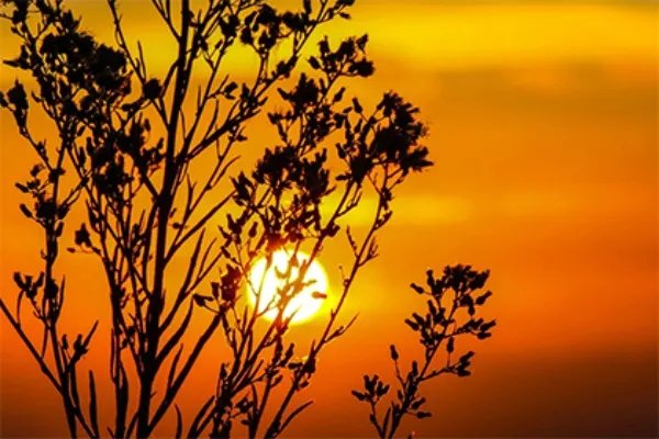 正月初七禁忌与讲究 正月初七是什么日子