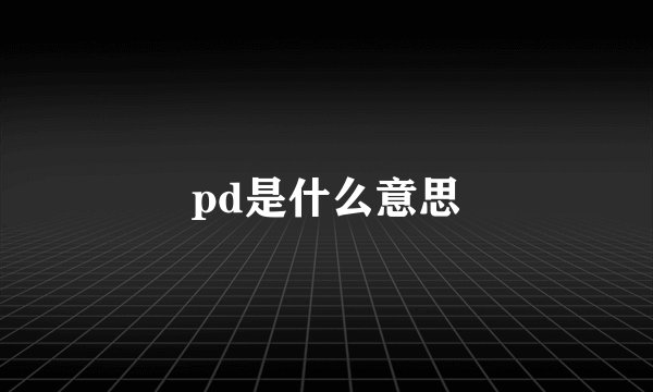 pd是什么意思