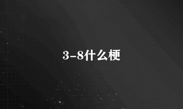3-8什么梗