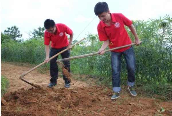 建议鼓励大中小学开设学农实践，对学生有哪些利处？