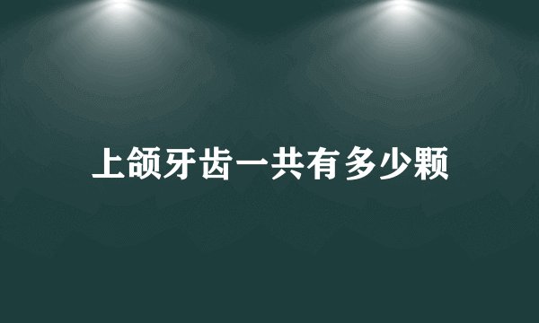 上颌牙齿一共有多少颗