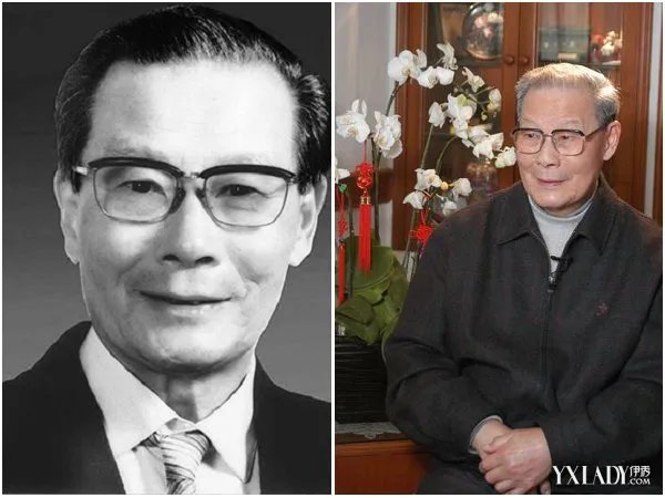 科学家严东生逝世享年98岁兢兢业业几十载的奉献毕生心血