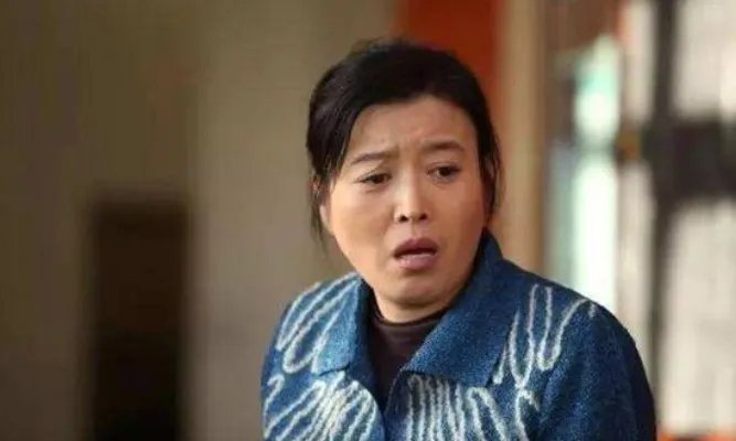 安家房似锦妈妈结局是什么 房似锦妈妈扮演者个人资料介绍