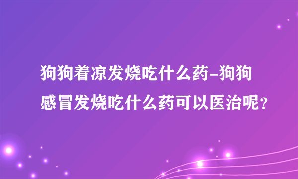 狗狗着凉发烧吃什么药-狗狗感冒发烧吃什么药可以医治呢？