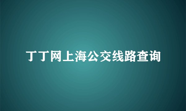 丁丁网上海公交线路查询