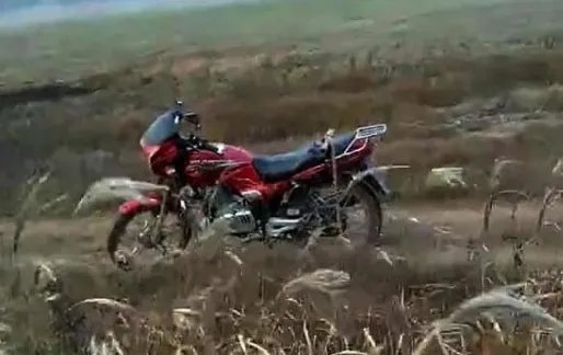 鄱阳湖大雁被偷猎者做了什么呢?