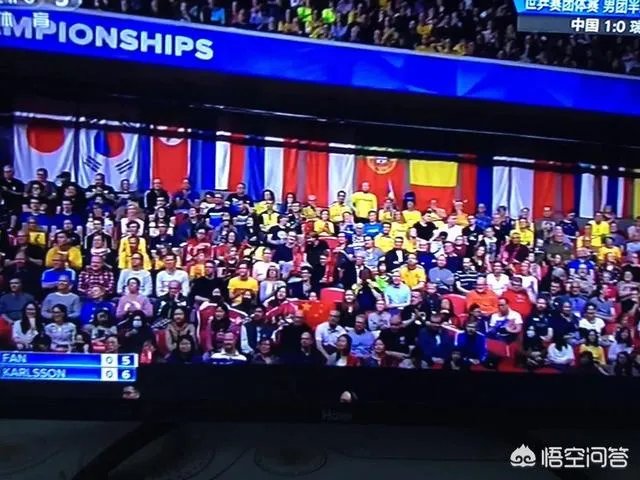 瑞典世乒赛男团半决赛中国队3：0战胜瑞典队，中国队发挥得怎样？