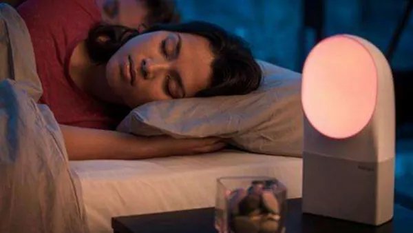 林字多一半不作森字猜是什么字