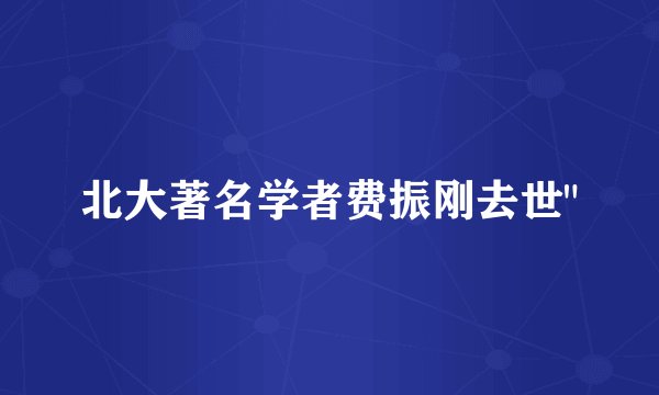 北大著名学者费振刚去世