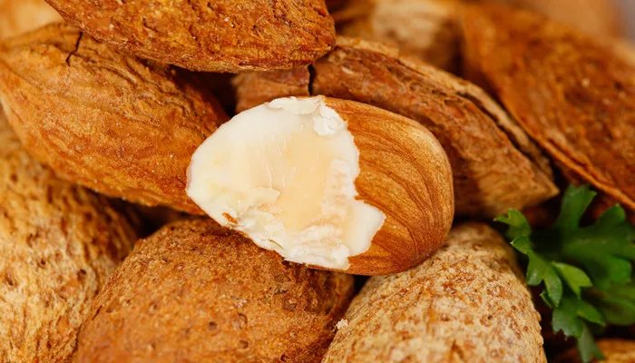 巴旦木是什么东西 巴旦木到底是什么