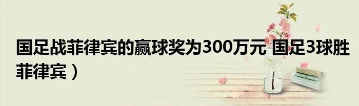 国足战菲律宾的赢球奖为300万元 国足3球胜菲律宾）