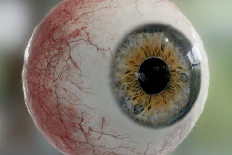 义眼片和正常眼睛的图片