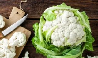 白花菜原产地是哪的 白花菜原产地介绍