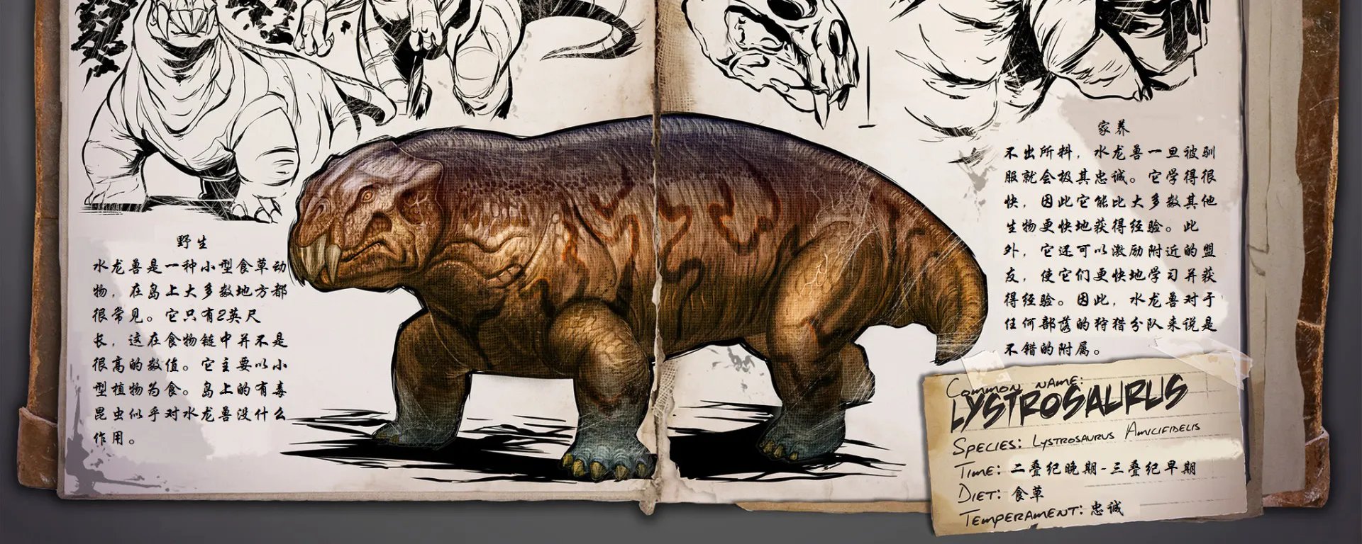 方舟水龙兽有什么用