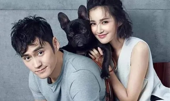 张歆艺第一任丈夫是谁：张歆艺感情史婚史介绍