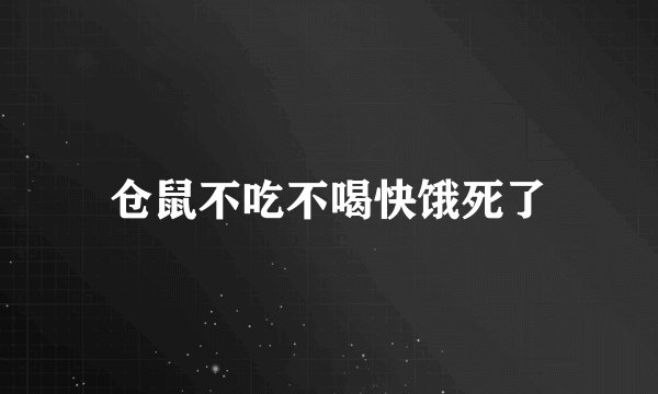 仓鼠不吃不喝快饿死了