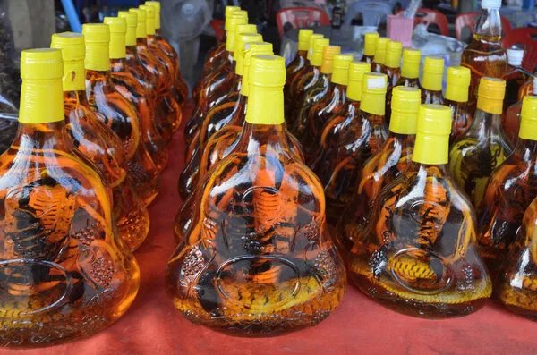 海蛇是不是都有毒