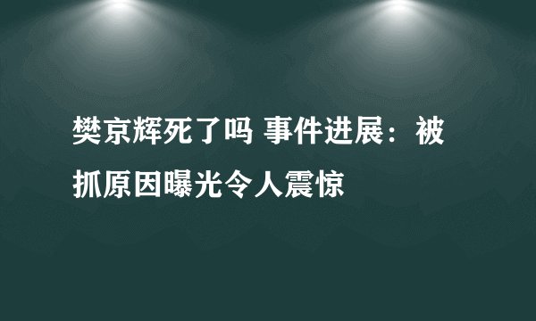 樊京辉死了吗 事件进展：被抓原因曝光令人震惊