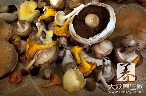 牛奶炖香菇做法是怎样的？