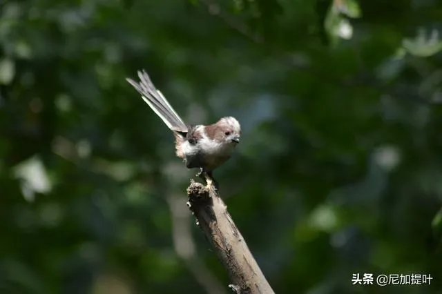 低端单反存在的意义是什么？